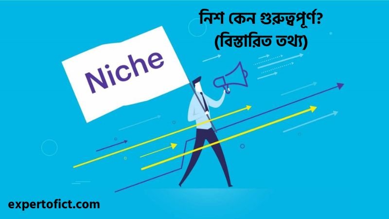 নিশ কেন গুরুত্বপূর্ণ