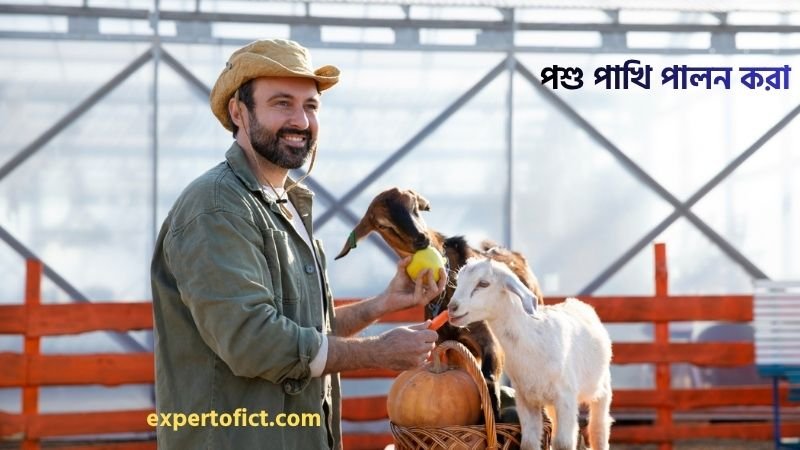 কম টাকায় উৎপাদনমুখী ব্যবসার আইডিয়া