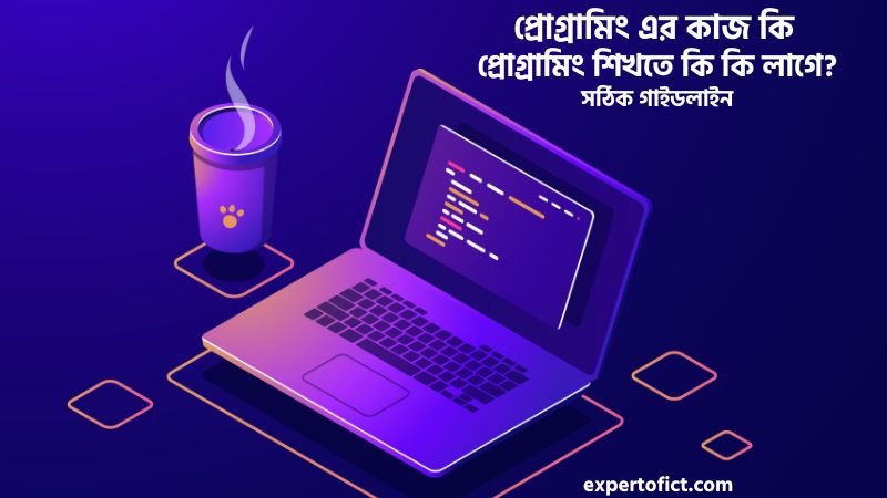 প্রোগ্রামিং এর কাজ কি